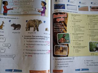 Incredible english kit 4, 3rd edition