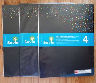 Lengua 4 primaria SM 9788467575385