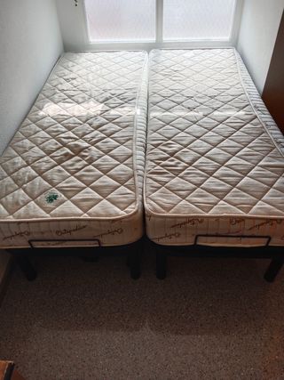 Cama con motor