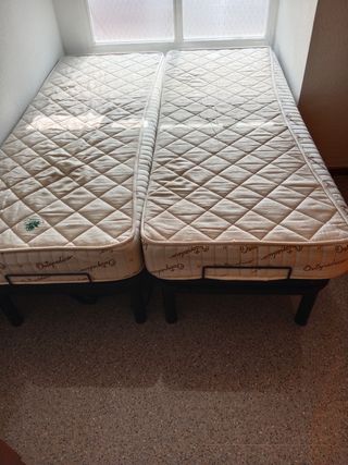 Cama con motor