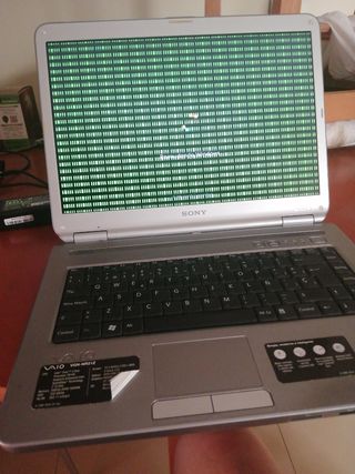 Portátil Sony vaio