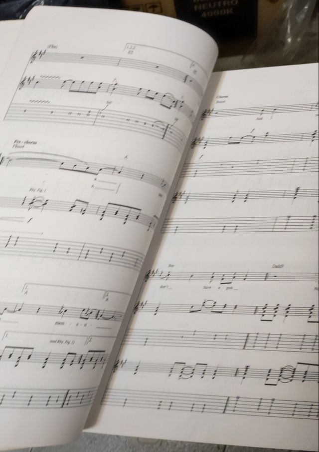 Nirvana partituras Nevermind