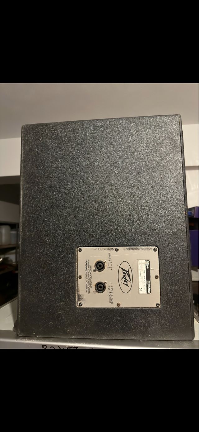 Caja acústica peavey