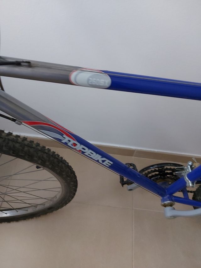 bicicleta Topbike