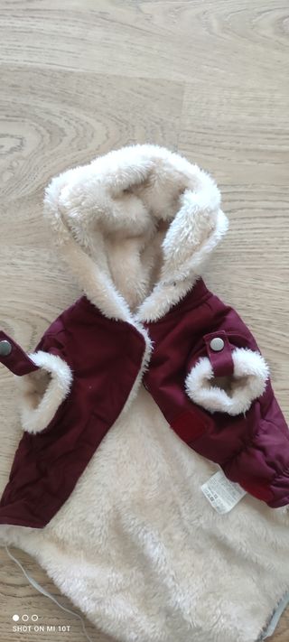 abrigo para perro mascota pequeño 