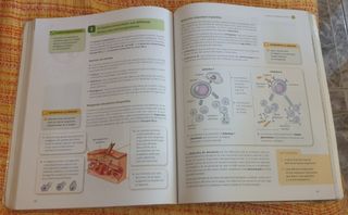 BIOLOGÍA Y GEOLOGÍA 3° E.S.O
