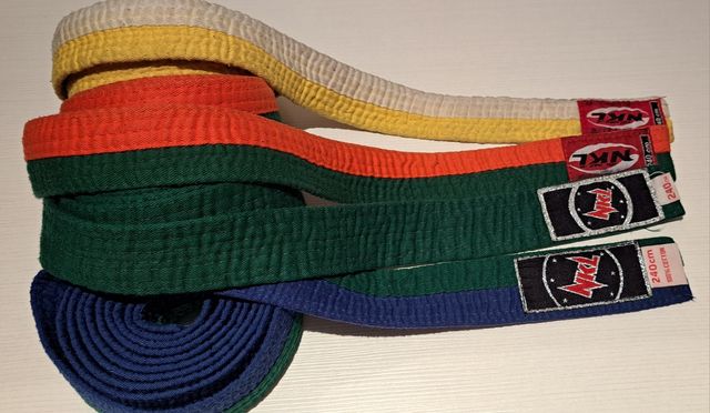 Cinturón Judo