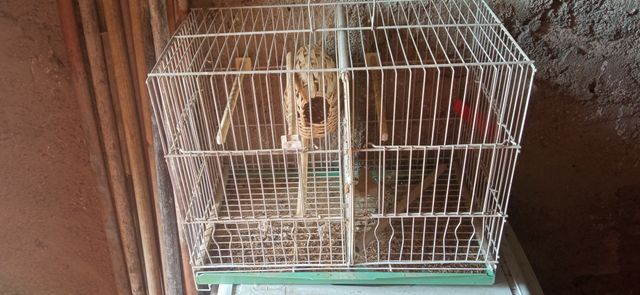 Jaula de cría