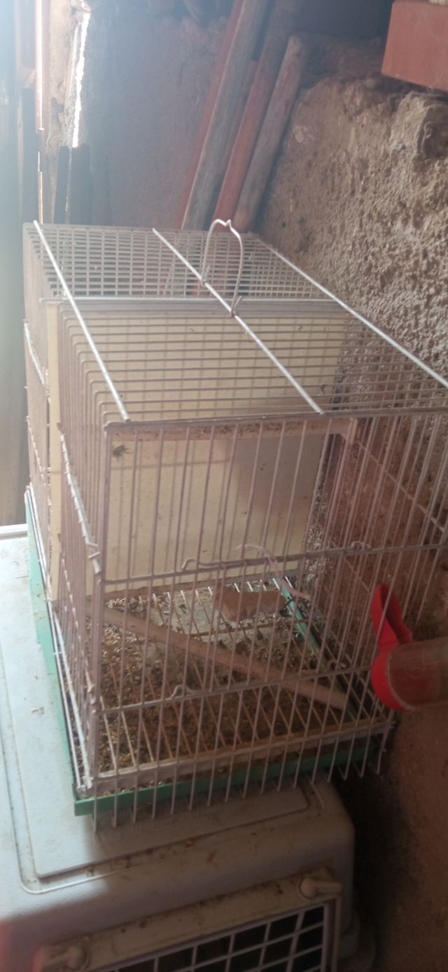 Jaula de cría
