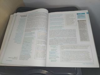 Llengua catalana i literatura