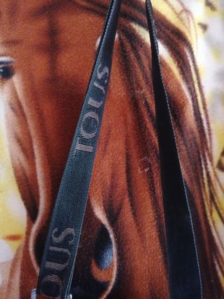 bolso de tous