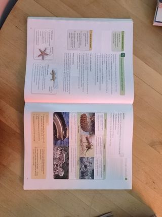 Biology and Geology 1 ESO. Santillana