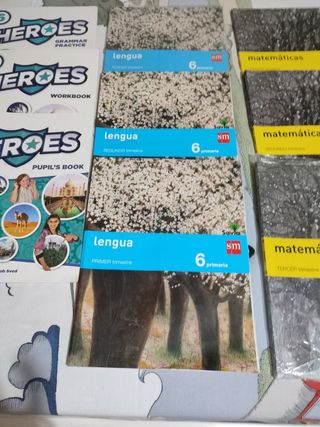 Libros de 6° primaria  SM SAVIA