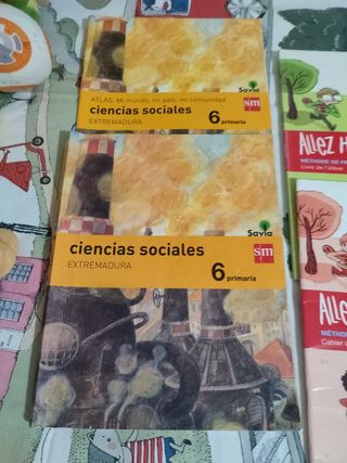 Libros de 6° primaria  SM SAVIA