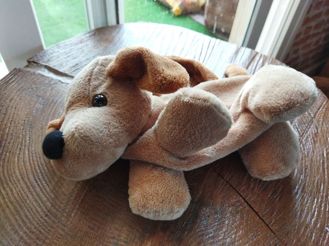 Bolso perrito 🐕