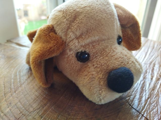 Bolso perrito 🐕