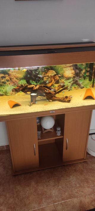 Acuario pecera JUWEL RIO 180 litros