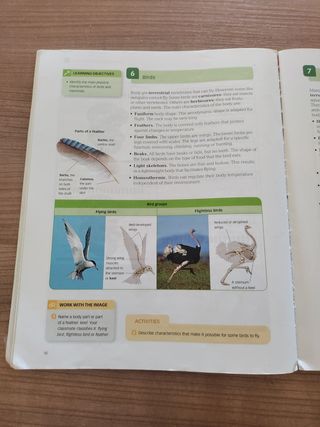 Libro Biology and Geology 1ESO Santillana