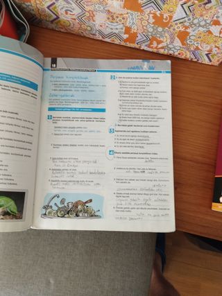 euskera 1 batx Ibaizabal