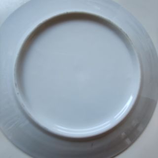 platos de porcelana sin uso. 