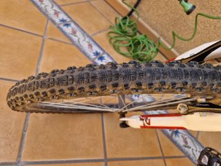 BICI COLUER RANDY MONTAÑA