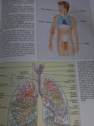 Atlas de Anatomia