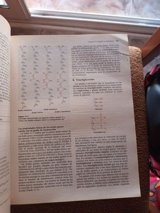 Libro de Bioquimica Voet and voet