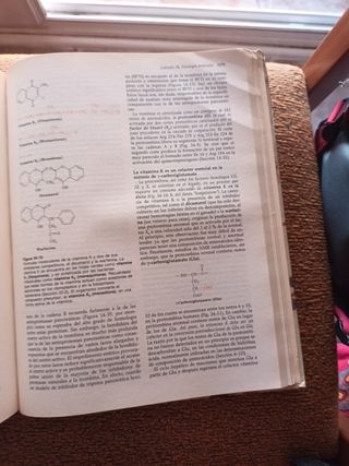 Libro de Bioquimica Voet and voet