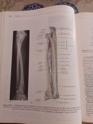 Libro de Anatomía edición 1993