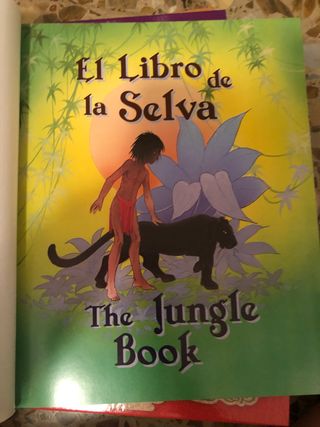 12 libros cuentos bilingües con pastas duras.
