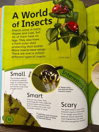 Collins My first encyclopedia