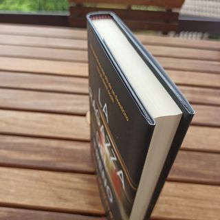 Romanzo La ragazza del treno 