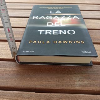 Romanzo La ragazza del treno 
