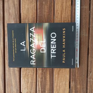 Romanzo La ragazza del treno 