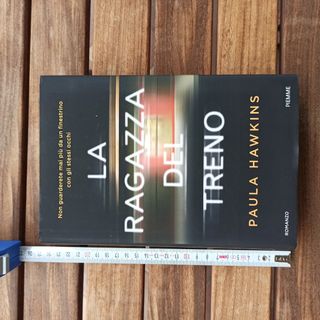Romanzo La ragazza del treno 