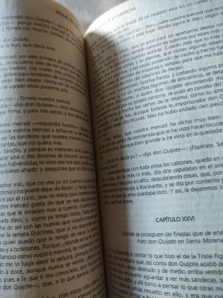 D. Quijote de la Mancha. Miguel de Cervantes