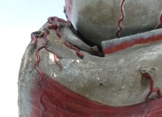 Maqueta de ojo anatómico