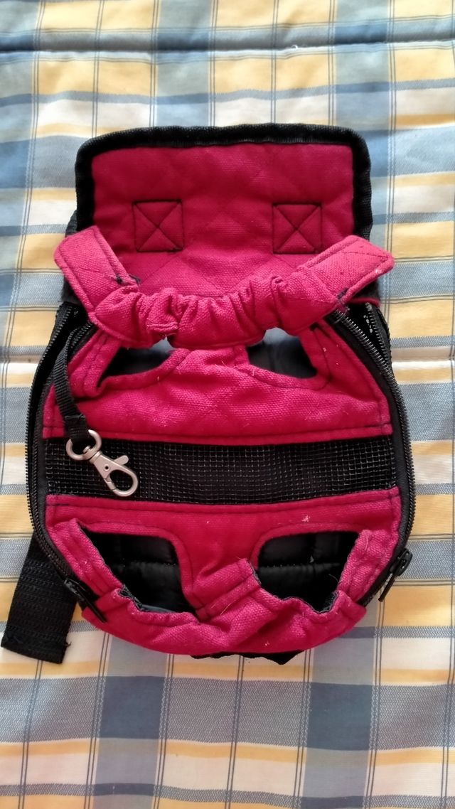 Mochila para perro