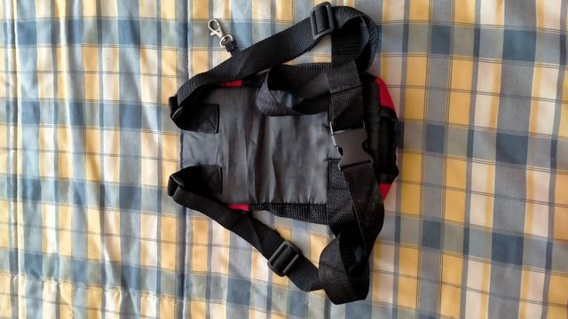 Mochila para perro
