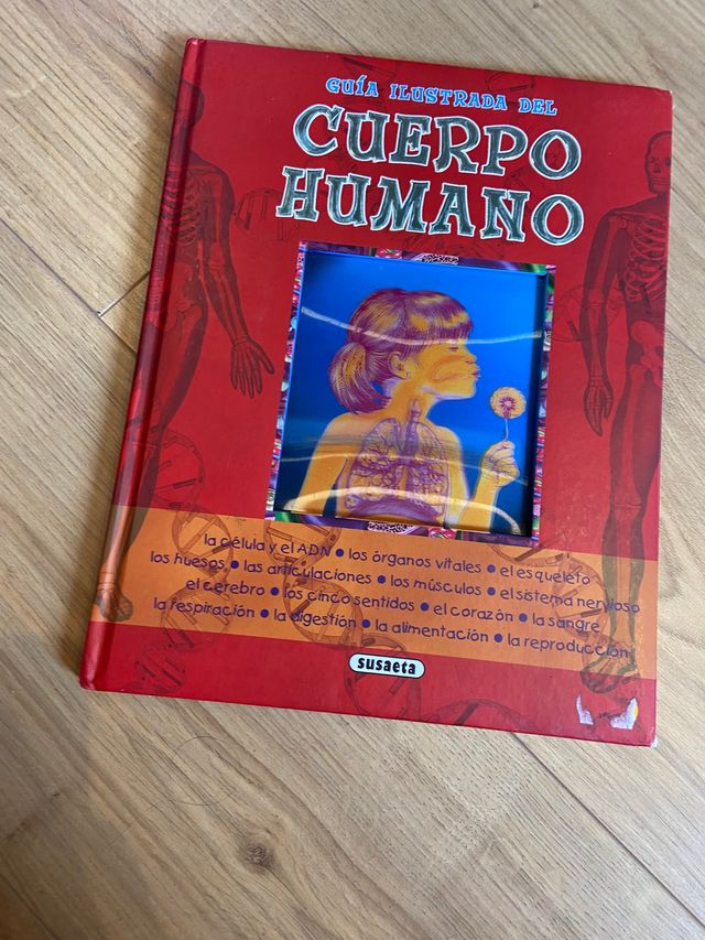 Confezione di libri assortiti