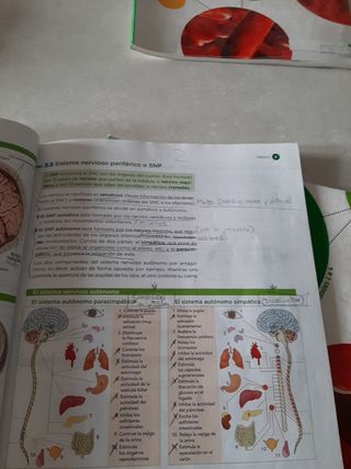 Biología y Geología 3 eso Anaya