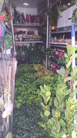 trabajos de jardinería