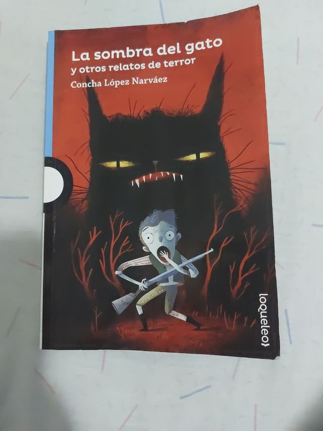 La sombra del gato
