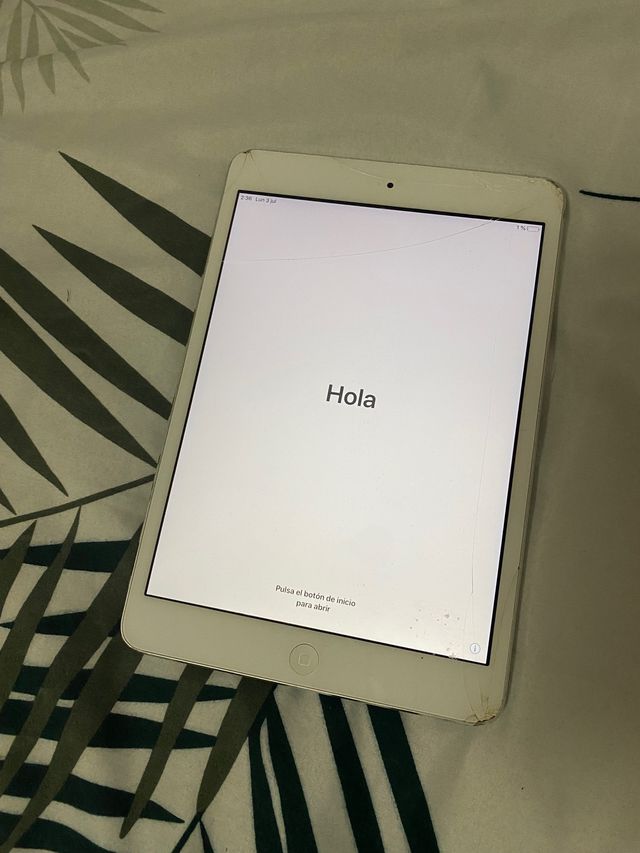 iPad mini 16gb