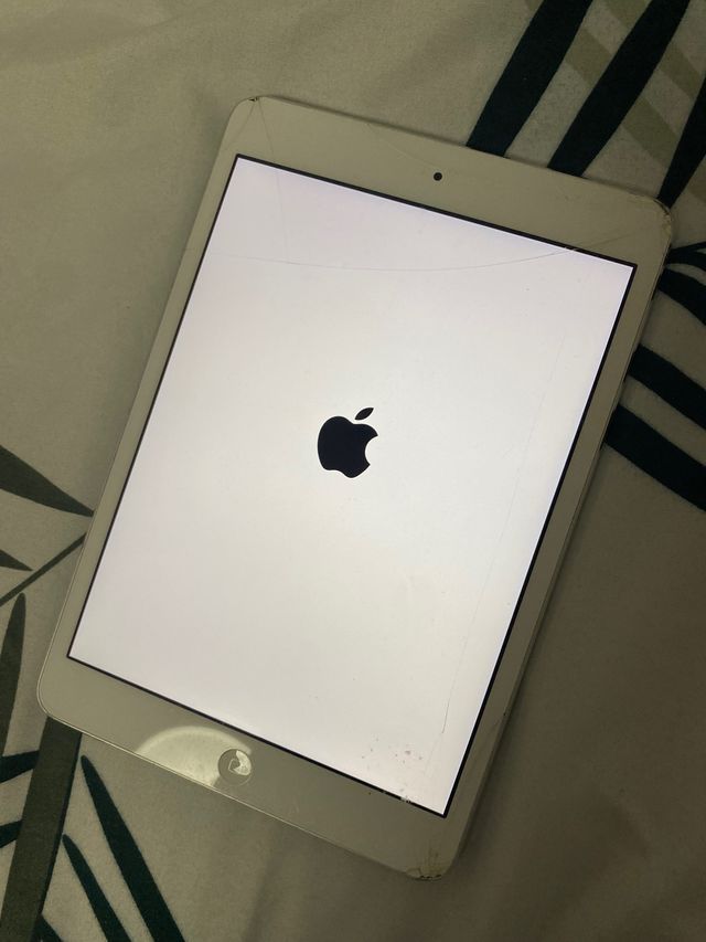 iPad mini 16gb