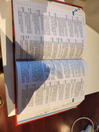 Diccionario Primaria Lengua Española Vox