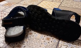 GEOX