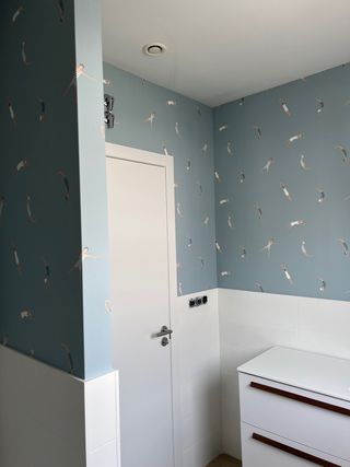 Colocador papel pintado