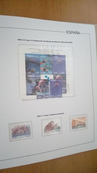 ESPAÑA AÑOS 2003/2004 MONTADOS EN ALBUM Y HOJAS