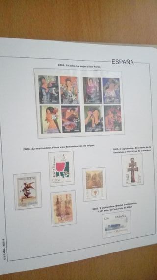 ESPAÑA AÑOS 2003/2004 MONTADOS EN ALBUM Y HOJAS